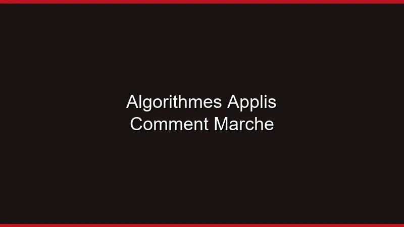 Algorithmes des applis : comment ça marche